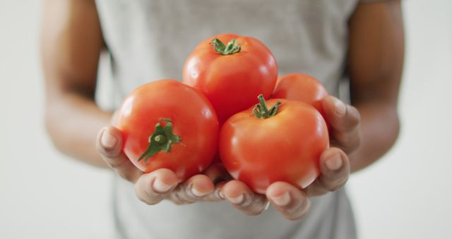 This image features a person holding a bunch of ripe tomatoes in cupped hands, conveying freshness and organic produce. Ideal for use in food blogs, articles on gardening, health and nutrition websites, farmers market promotions, and any content related to plant-based diets or sustainable farming.