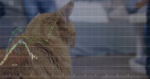 Ginger cat watching stock chart overlay in cozy living room with casual jeans and sneakers