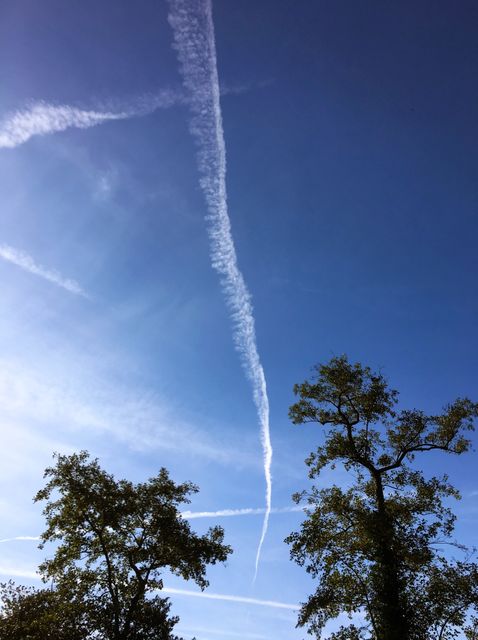 Contrail zigzagging across a clear blue sky with leaves of tall trees visible at the bottom. Perfect for depicting clear day, weather themes, peaceful nature scenes or environmental concepts. Could be used in websites, blogs, or articles related to aviation, meteorology, or outdoor activities.
