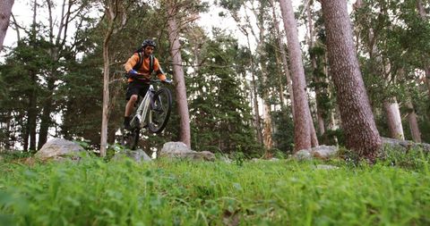 Mountain Biking Adventure in Lush Forest Landscape - Download Free Stock Images Pikwizard.com