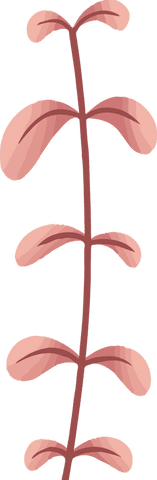 Stylized botanical branch with pink leaves on transparent background