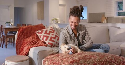 Smiling man playing with puppy on cozy modern living room sofa
