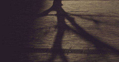 transparent shadows of tree branches on street at night - Download Free Stock Videos Pikwizard.com