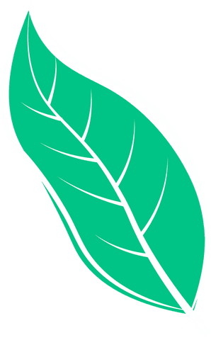 Green leaf design on transparent background