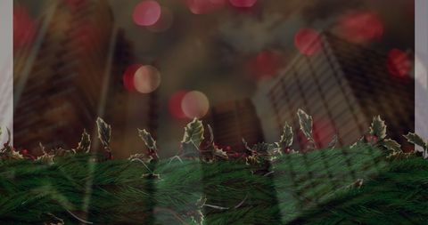 Digital Interface Overlaying Leafy Ground Mule Greens - Download Free Stock Images Pikwizard.com