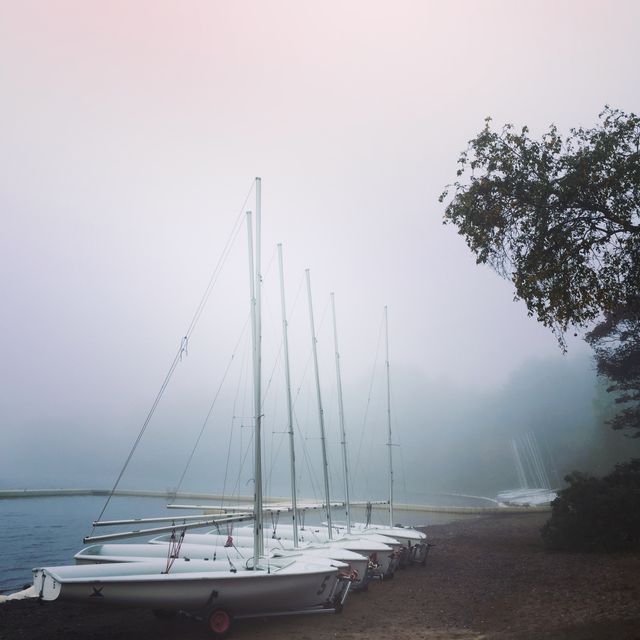 Sailboats are docked on a foggy lakeshore with trees in background. Ideal for promoting serene and tranquil outdoor or nautical activities. Can be used for travel brochures, relaxation and mindfulness promotions, nature conservation materials, and more.