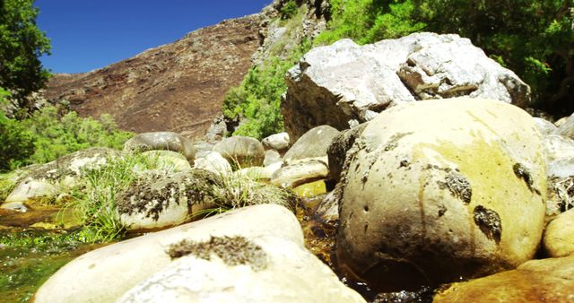 River water flowing through rocks and grass on a sunny day