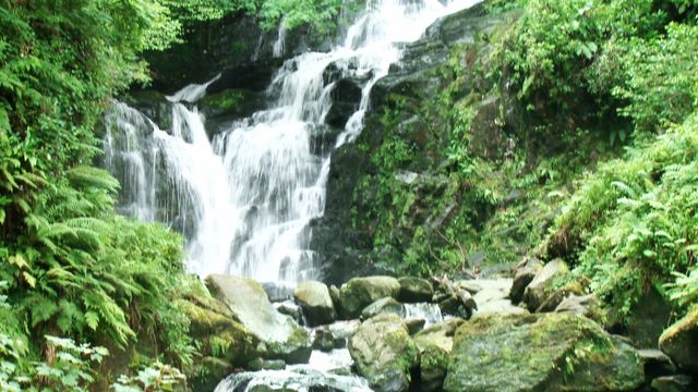 Picturesque waterfall cascading over moss-covered rocks in verdant forest landscape. Perfect for websites about nature, outdoor travel, eco-tourism, or blogs focusing on meditation spaces and relaxation.