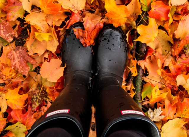 Black rain boots standing on vividly colored autumn leaves, showcasing the beauty of fall and preparedness for rainy weather. Ideal for use in seasonal promotions, autumn-themed content, weather-related articles, and outdoor equipment advertisements.