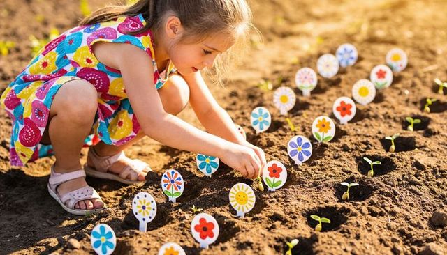 Little girl planting seedlings in sunny garden bed with colorful flower markers and happy sprouts