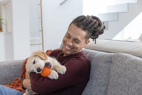 Man cuddling golden retriever puppy chewing orange ball on cozy modern living room couch