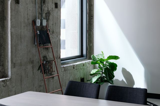 The image depicts a modern office space featuring an exposed concrete wall, a green plant, and minimalist furniture. The natural light streaming through the window highlights the room's industrial and minimalist decor. This image is perfect for use in articles, blogs, or promotional materials related to office design, modern work environments, interior decor trends, and urban workspace aesthetics.