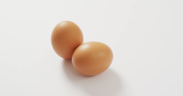 Close-Up of Two Brown Eggs on White Background - Download Free Stock Images Pikwizard.com