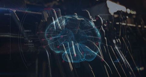 Holographic brain display in industrial setting
