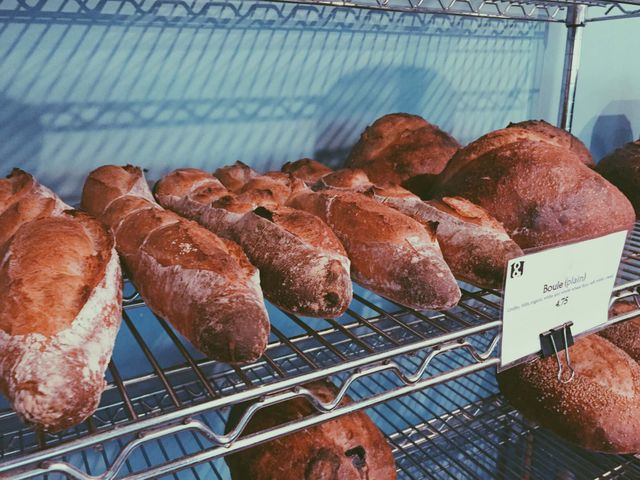 Freshly Baked Artisan Bread Loaves on Metal Rack in Bakery - Download Free Stock Photos Pikwizard.com