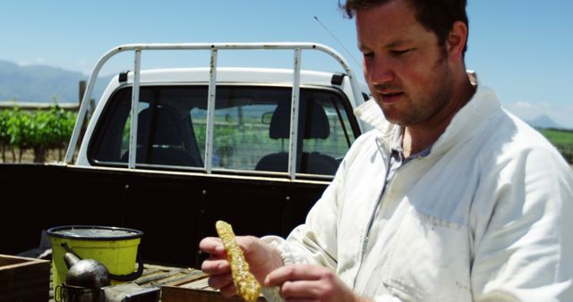 Beekeeper Inspecting Honeycomb on Farm Near Pickup Truck - Download Free Stock Images Pikwizard.com