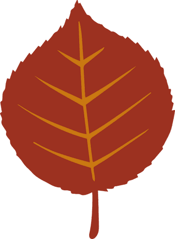 Stylized Red Leaf Illustration with Transparent Background - Download Free Stock Videos Pikwizard.com