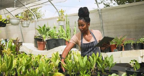 Woman managing plants in greenhouse with tablet technology