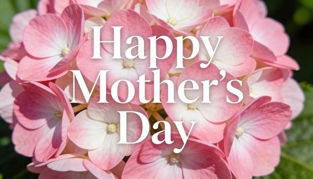 Pink hydrangea closeup featuring happy mother's day text, pastel floral greeting background