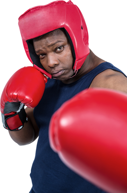 Confident Male Boxer with Red Gloves in Transparent Background - Download Free Stock Videos Pikwizard.com