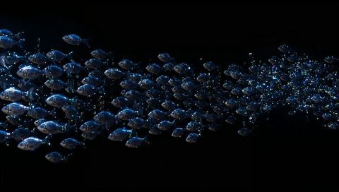 Gliding shoal of iridescent metallic fish forming blue-spark wave with reflective bubbles