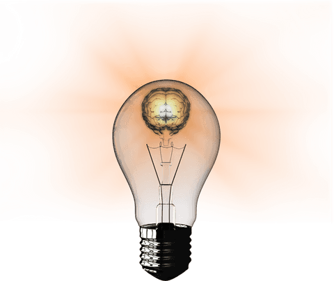 creative concept of brain in transparent light bulb - Download Free Stock Videos Pikwizard.com