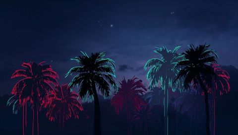 Neon-Glowing Palm Silhouettes Casting Teal and Magenta Light Over Tropical Nightscape