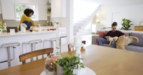 Couple cooking and petting dogs in bright modern open-plan kitchen and living room