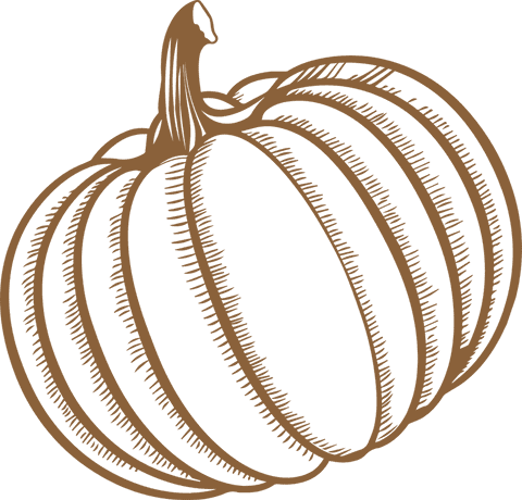 Illustration of Ribbed Pumpkin with Stylized Shading Transparent Design - Download Free Stock Videos Pikwizard.com