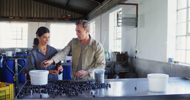 Team Working for Quality Control in Winery Facility - Download Free Stock Images Pikwizard.com