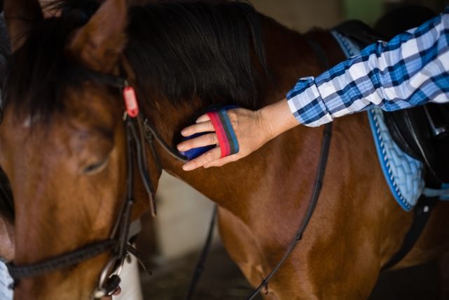 Man grooming horse in stable, focusing on the hand brushing the horse's coat. Ideal for use in articles or advertisements related to horse care, equestrian activities, farming, and animal husbandry. Can be used to illustrate the bond between humans and animals, or to promote equestrian products and services.