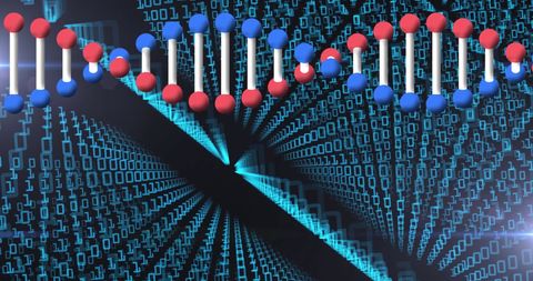 spinning dna strand overlaid on digital binary code - Download Free Stock Images Pikwizard.com