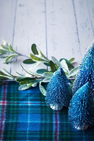 Frosted blue christmas trees with festive background decor