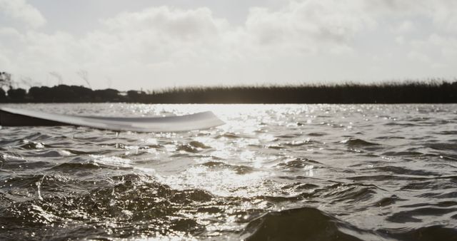 Close up detail of a white oar going in and out of water, during a rowing practice, on a sunny day, in slow motion