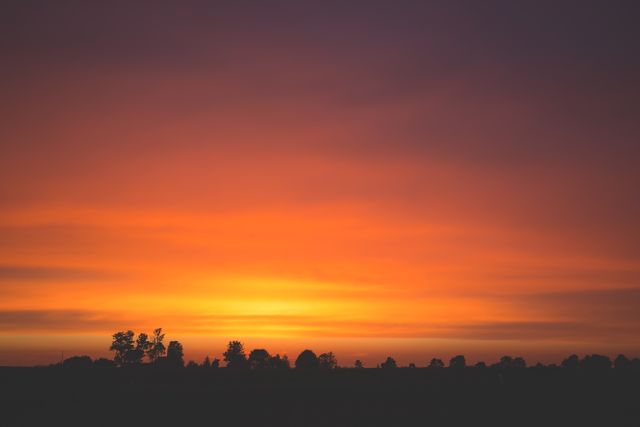 Silhouetted Trees Against Vibrant Sunset Sky - Download Free Stock Photos Pikwizard.com