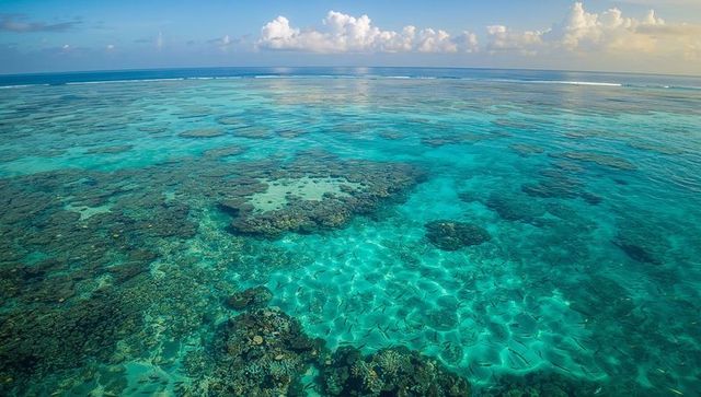 Aerial turquoise reef revealing vibrant coral gardens, sand patches and sunlit tropical lagoon