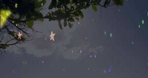 Twilight Foliage with Stars and Sky