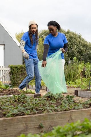 African American volunteers tending raised garden beds collecting waste practicing teamwork