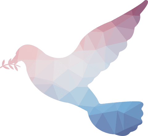 abstract transparent geometric colorful dove with olive branch - Download Free Stock Videos Pikwizard.com