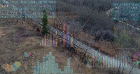 Aerial trail cutting through desaturated dormant woodland with data chart overlays