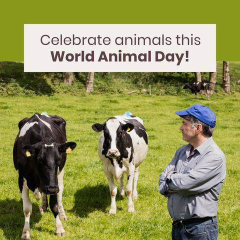 world animal day celebration with farmer and cows - Download Free Stock Templates Pikwizard.com