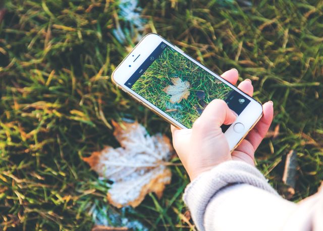Person Takes Photo of Leaf on Grass with Smartphone - Download Free Stock Photos Pikwizard.com