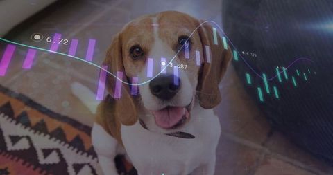 Beagle Indoors with Digital Charts Overlay