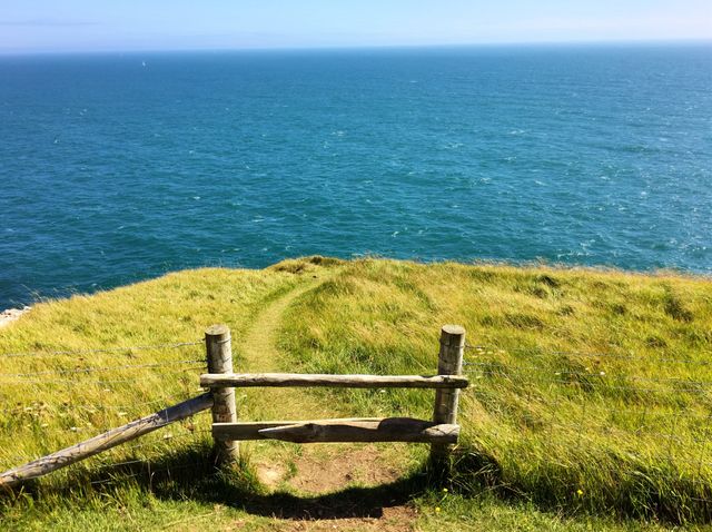 Seaside Path in verdant Meadow leading to Ocean Cliff Edge - Download Free Stock Photos Pikwizard.com