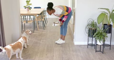 Woman Feeding Dog in Bright Modern Dining Area