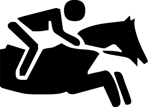 Transparent Silhouette of Man Riding Horse Galloping - Download Free Stock Videos Pikwizard.com
