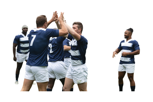 Diverse Male Rugby Players High-Fiving on Transparent Background - Download Free Stock Videos Pikwizard.com