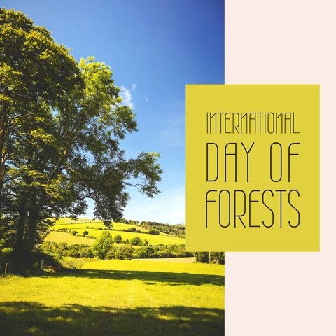 celebrate international day of forests with lush green landscapes - Download Free Stock Templates Pikwizard.com