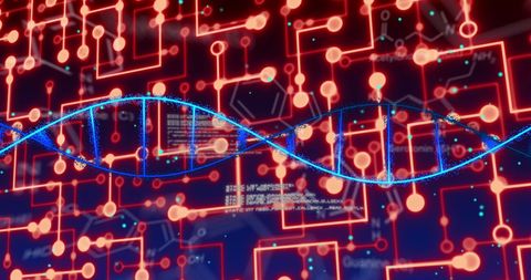 Futuristic dna strand in digital interface network