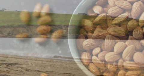 Whole Almonds and Overcast Coastal Beach